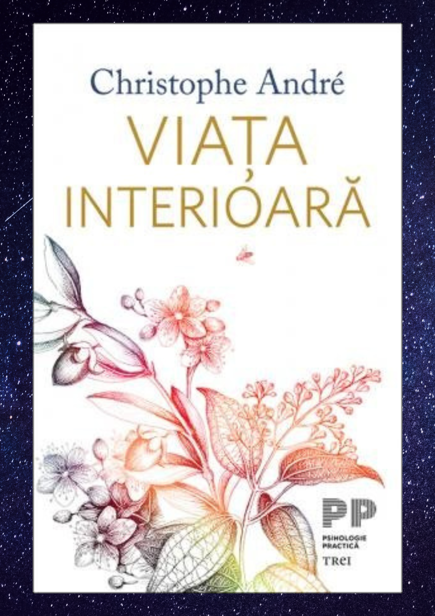 Design ohne Titel – 2025-02-24T201424.310