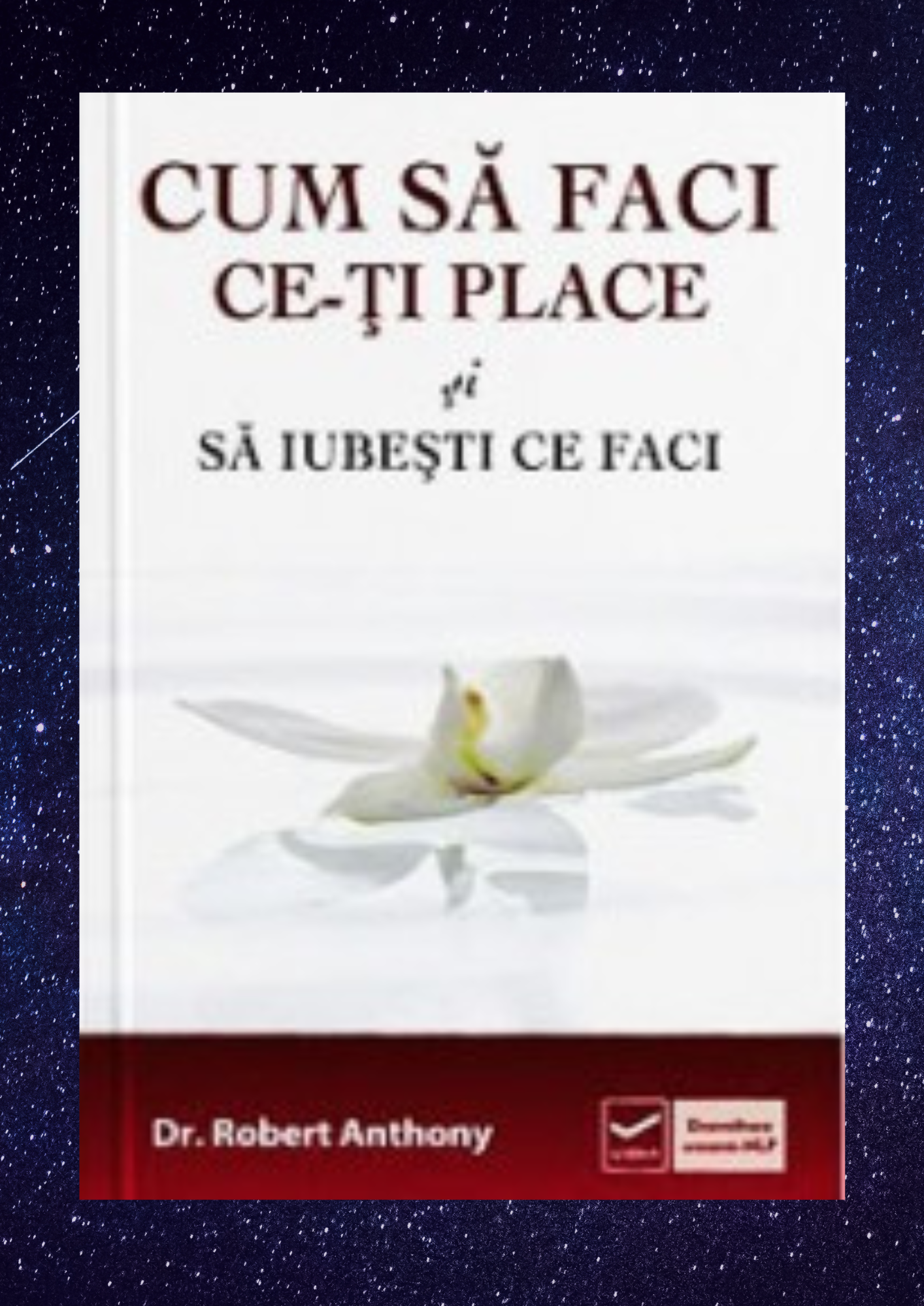 Design ohne Titel – 2025-10-22T105221.014